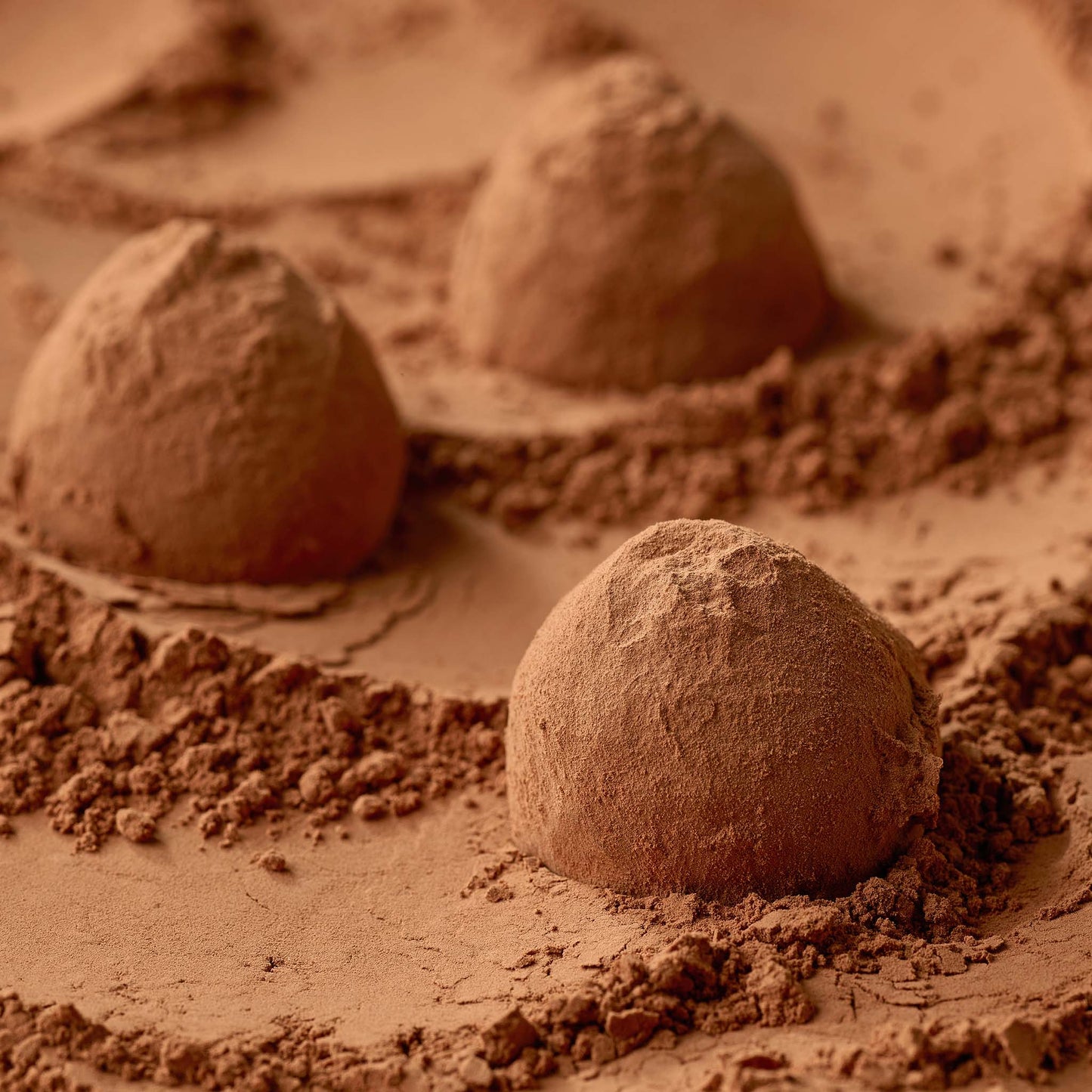 <div style="text-align: center;"> <span style="color: #1D1919;">Truffes au Caramel d'Isigny (4 oz.)</span><br><span style="color: #444444;">Andilly, France</span> <br> <span style="color: #444444;">Since 1931</span> </div> 