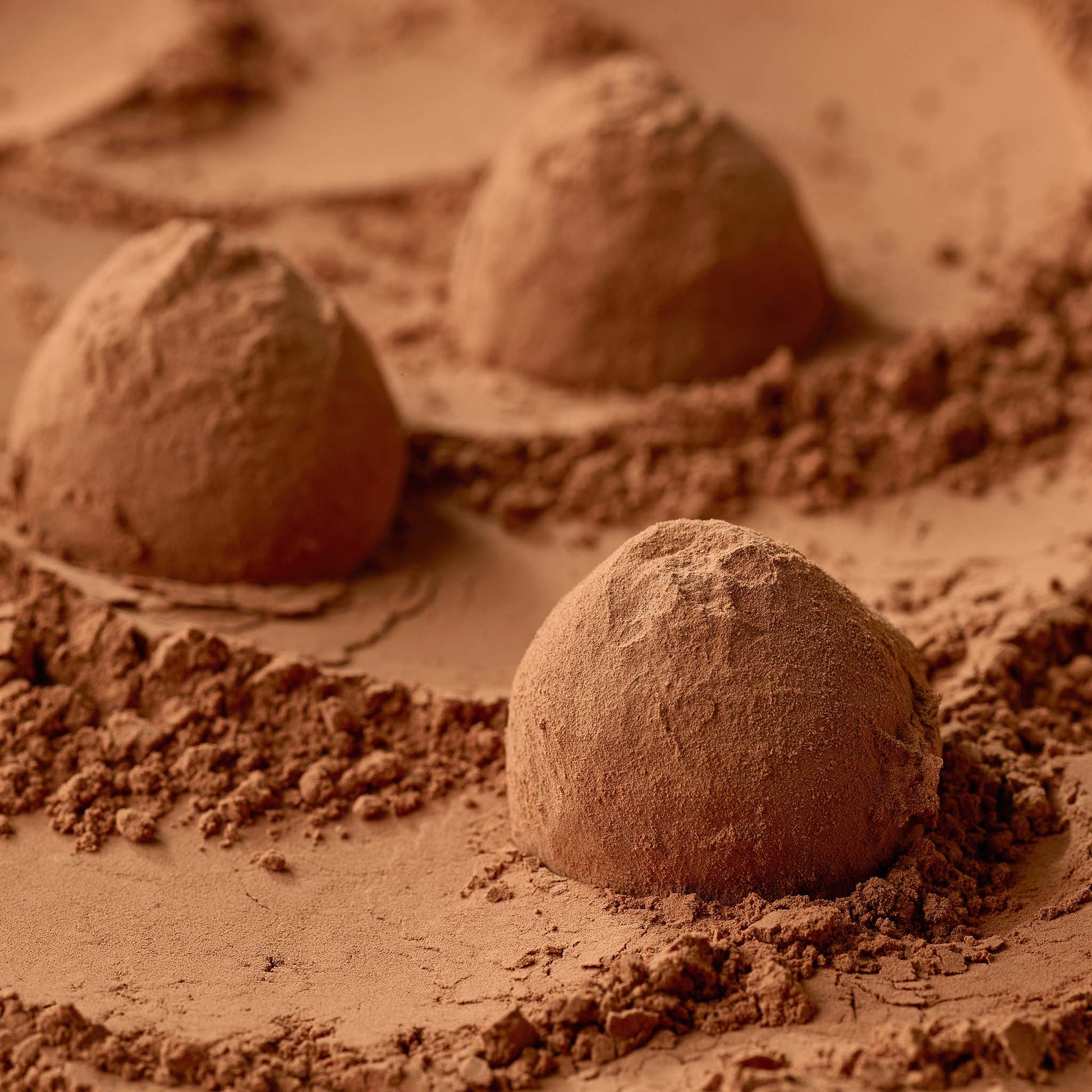 <div style="text-align: center;"> <span style="color: #1D1919;">Truffes au Caramel d'Isigny (4 oz.)</span><br><span style="color: #444444;">Andilly, France</span> <br> <span style="color: #444444;">Since 1931</span> </div> 